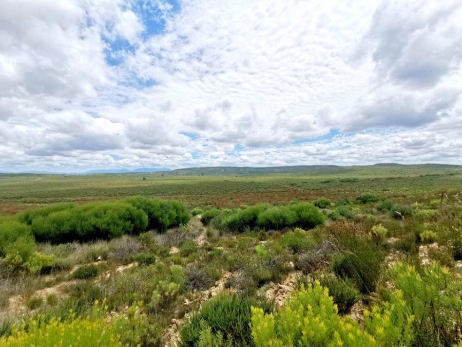 0 Bedroom Property for Sale in Riversdale Rural Western Cape